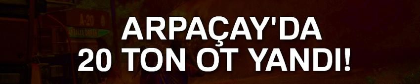 Arpaçay