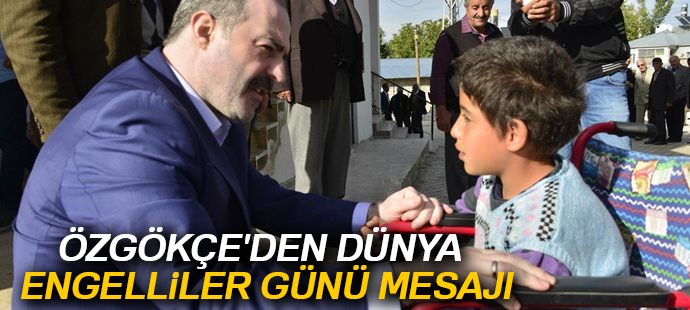 Başkan Özgökçe