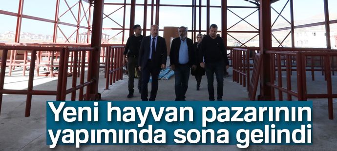Yeni hayvan pazarının yapımında sona gelindi