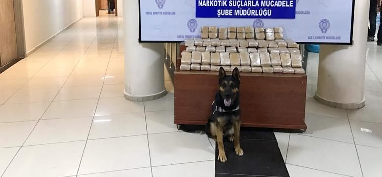 Efes ve Lisa, kaçakçıların korkulu rüyası oldu