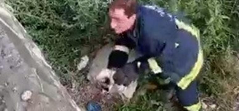  Derede mahsur kalan yavru köpeğin imdadına itfaiye ekipleri yetişti