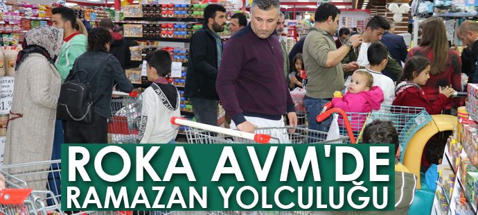 ROKA AVM