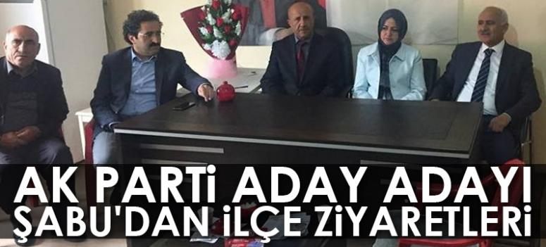 AK Parti Aday Aday Şabu