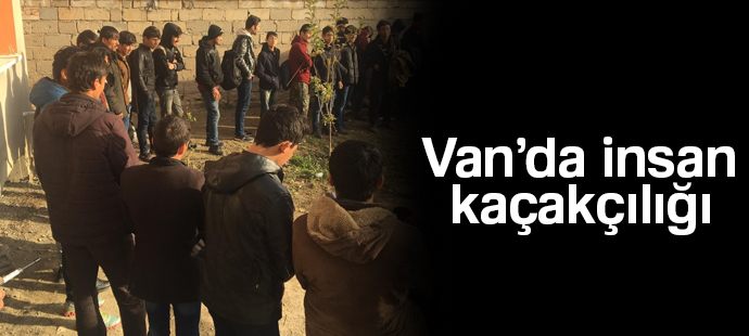 Van