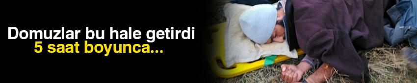 Domuz saldırısına uğrayan çoban yaralandı, ekipler kurtardı