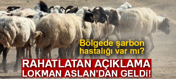 Prof. Dr. Aslan