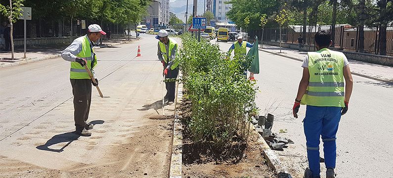 Büyükşehir, yeşil bir Van için çalışıyor