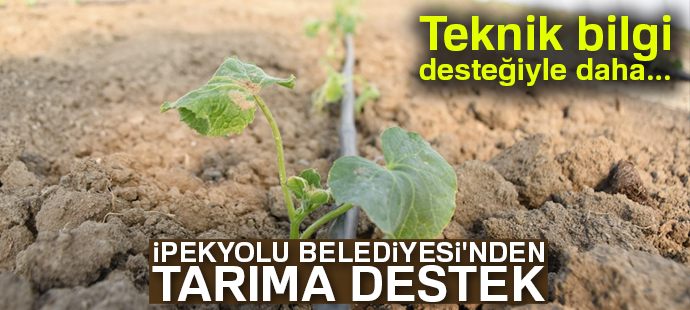 İpekyolu Belediyesi