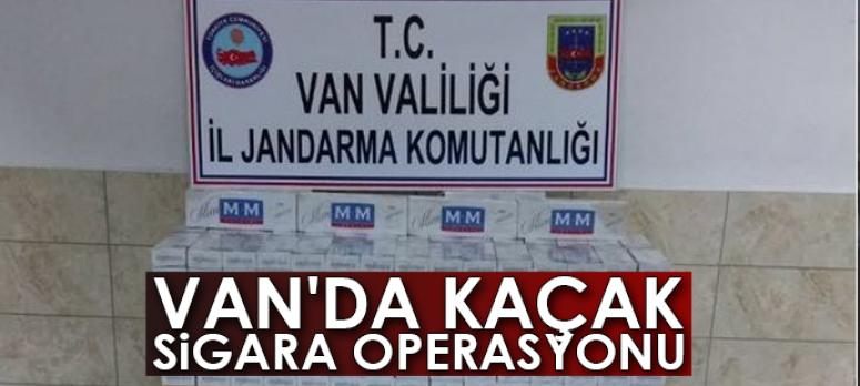 Jandarma tarafından 7 bin 730 paket kaçak sigara ele geçirildi