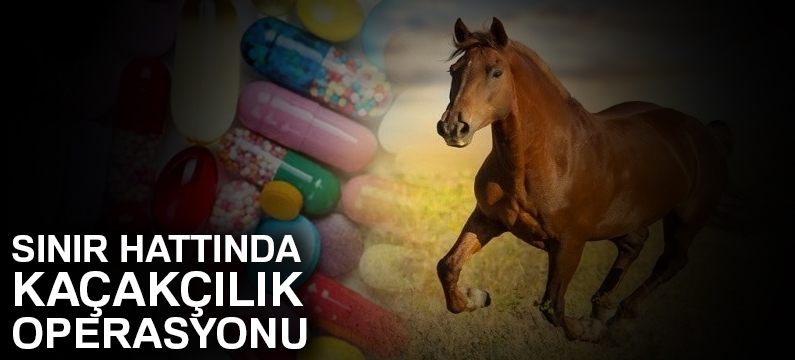 Sınır hattında kaçakçılık operasyonu