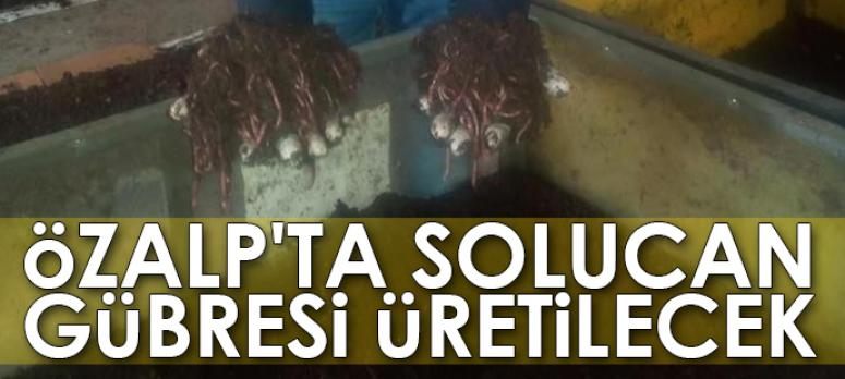 Özalp ilçesinde solucan gübresi üretilecek