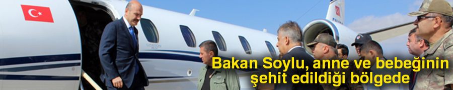 Bakan Soylu, anne ve bebeğinin katledildiği bölgede