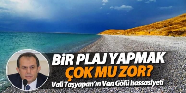 Vali Taşyapan