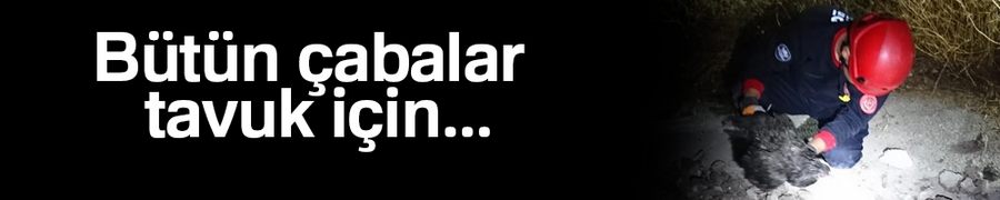 İtfaiye ekipleri, asfaltı kırıp sıkışan tavuğa kurtardı