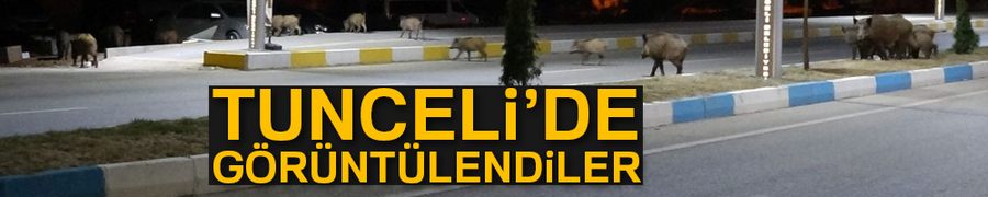 Tunceli