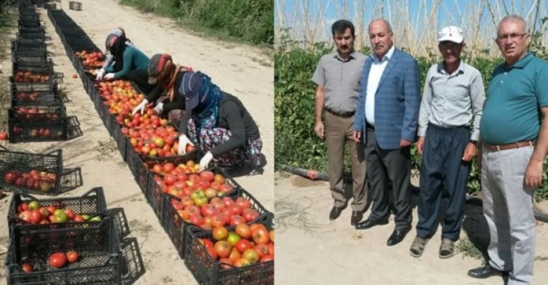 Tuşba Ziraat Odasından üreticilere ziyaret