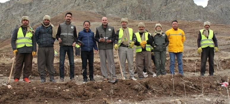 Yaban hayvanları için meyve fidanı diktiler