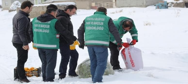  Yaban hayvanları için doğaya yem bırakıldı