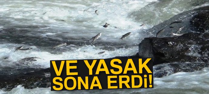 Av yasağı döneminde 141 ton inci kefali ele geçirildi
